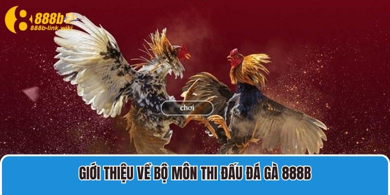 Giới thiệu về bộ môn thi đấu Đá Gà 888B