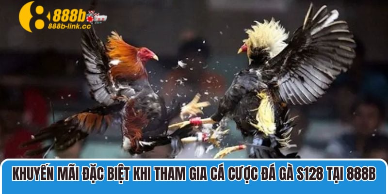 Khuyến mãi đặc biệt khi tham gia cá cược Đá gà S128 tại 888B