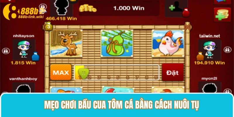 Mẹo chơi bầu cua 888B bằng cách nuôi tụ