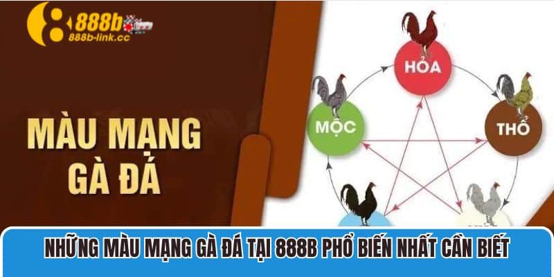 Những màu mạng gà đá tại 888B phổ biến nhất cần biết