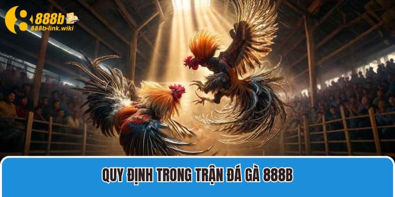 Quy định trong trận Đá Gà 888B